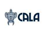 CALA Boards